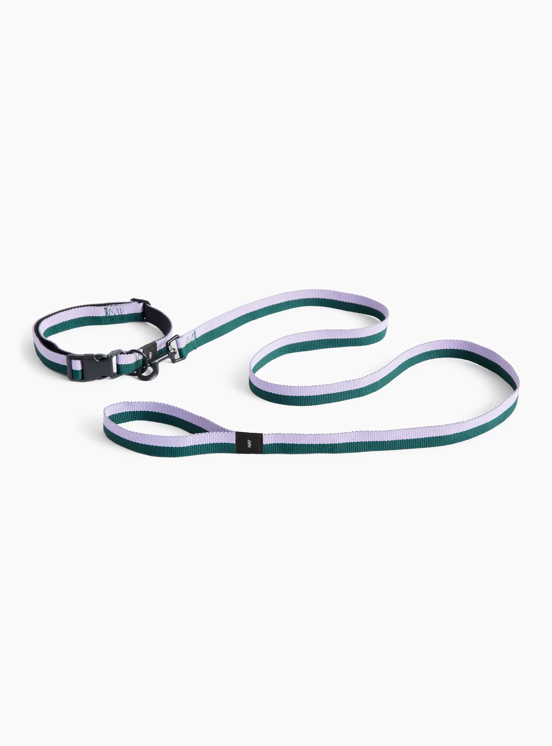 Dog Collar Flat Green/Lavender